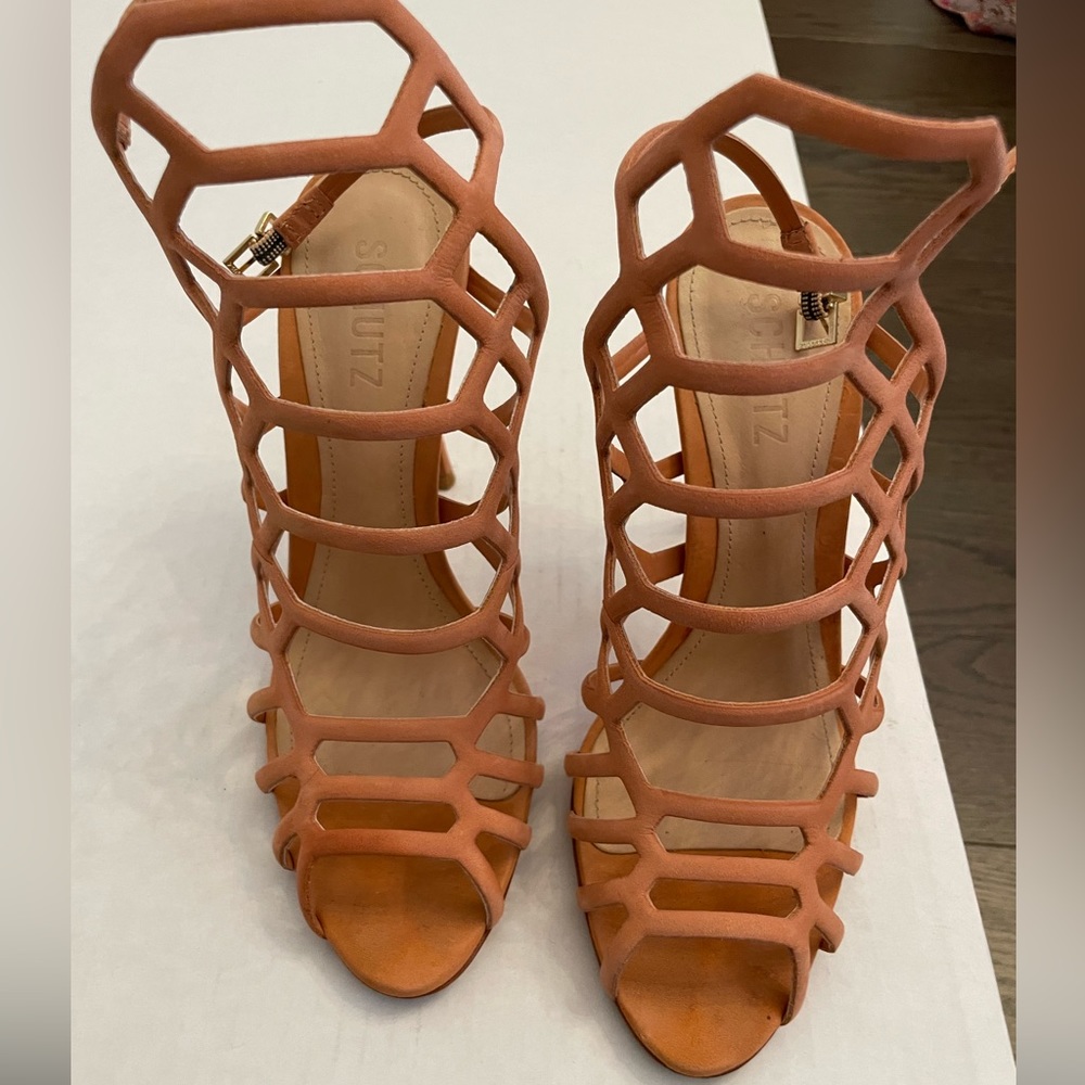 Schutz shoes